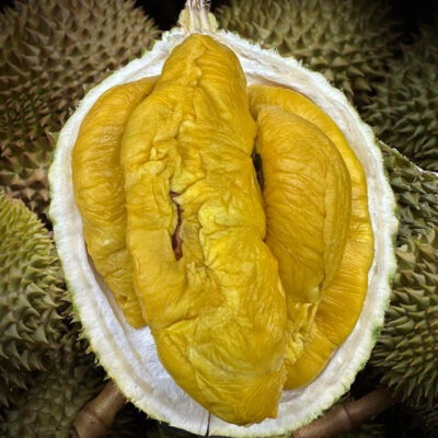 Tiger Black Gold Durian (800g Box - All Meat)