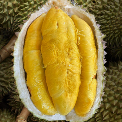 ⭐ Tiger Old Tree MSW Durian (800g Box - All Meat)